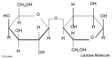 Importância nutricional do leite e seus derivados